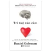 Trí Tuệ Xúc Cảm - Emotional Intelligence - Khổ Nhỏ